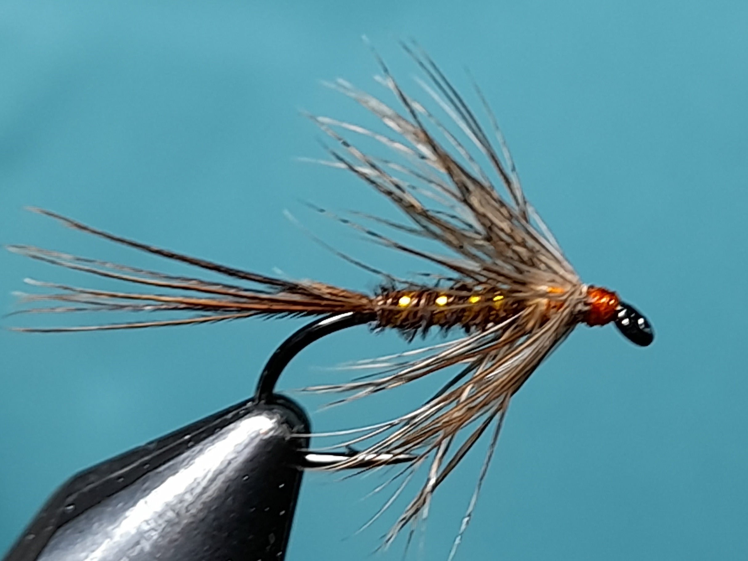 Endrick spider. | Fly Fishing Forum