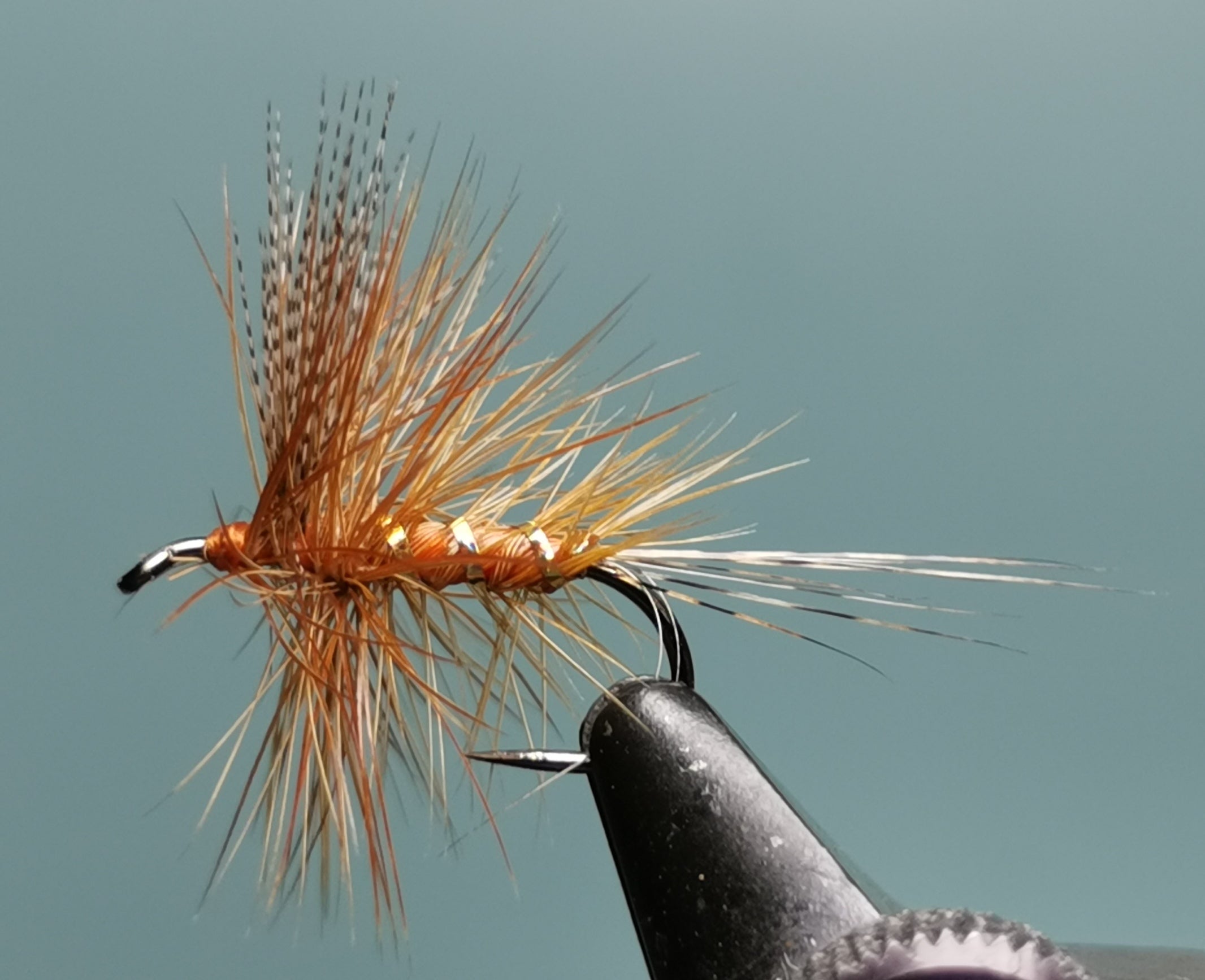 Catskill style dry flies - Queen of the Water | Fly Fishing Forum