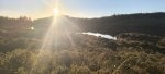 IMG_20250928_183234.jpg